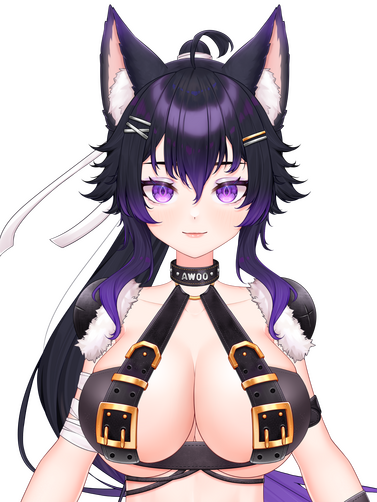 Noire Noire